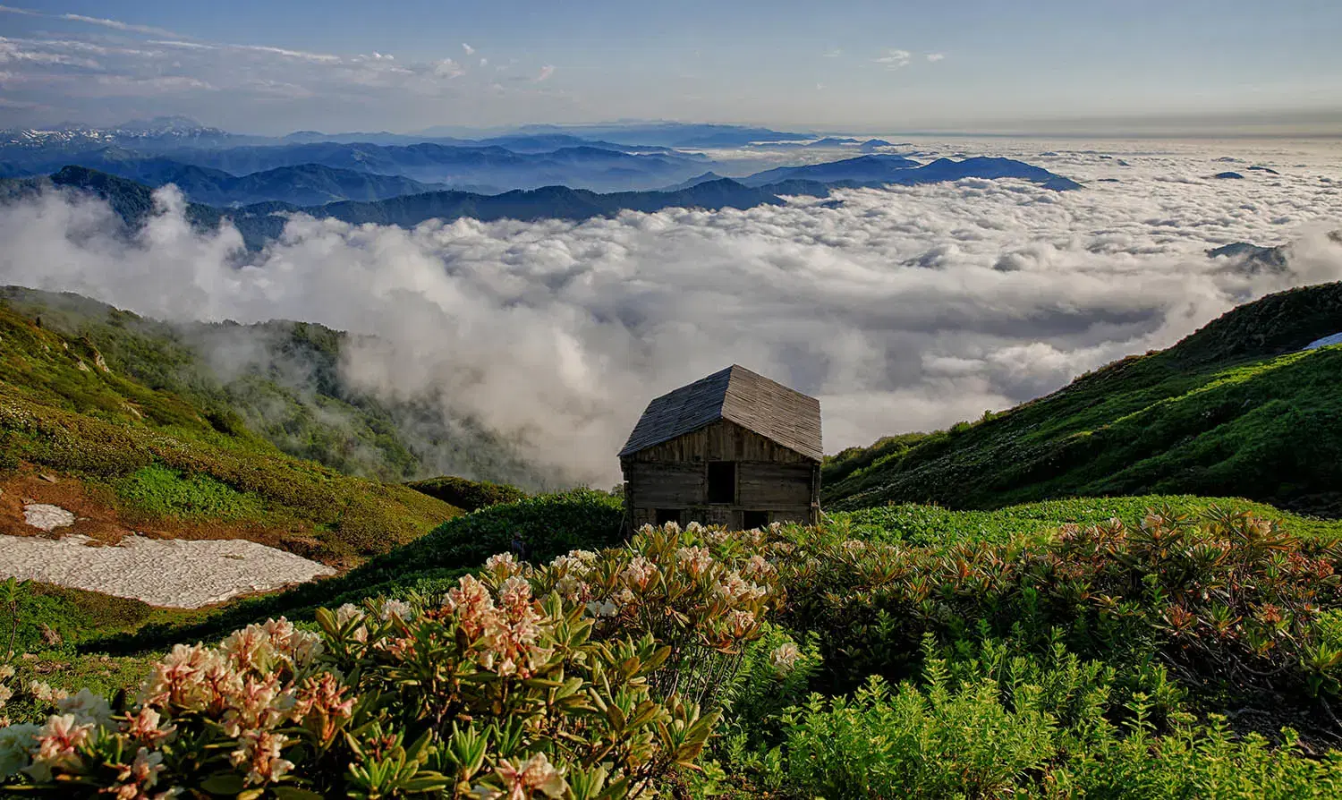 Kintrishi Protected Areas