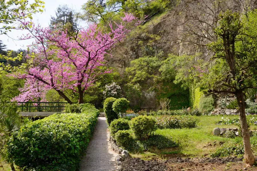 Botanical Garden