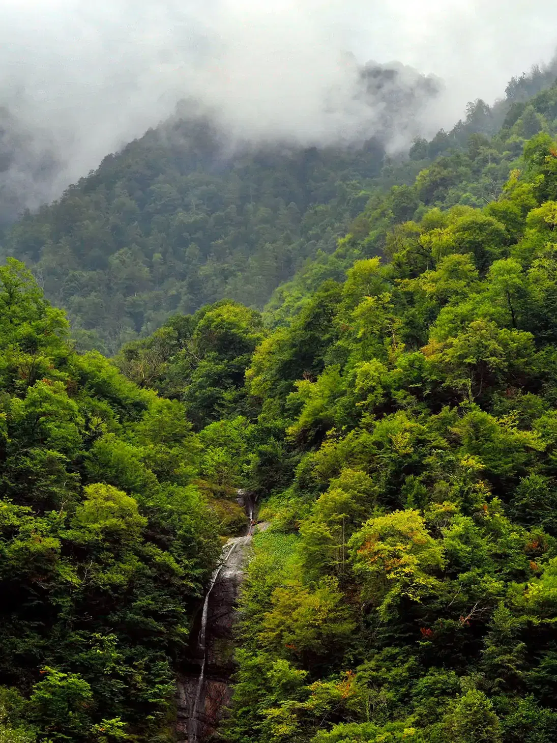 Machakhela National Park