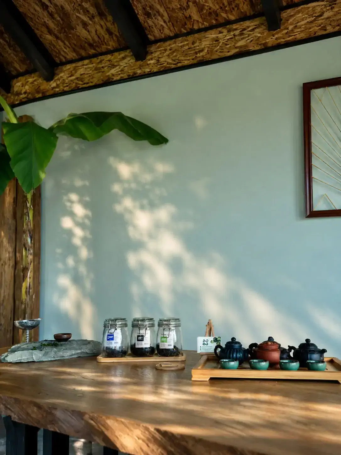 Taba Tea Tours & Tastings