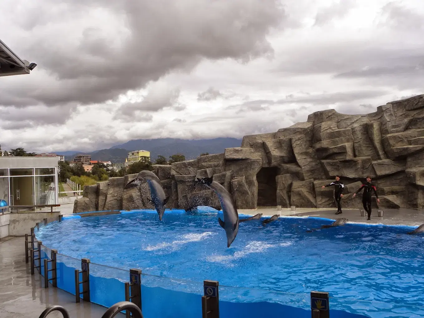 Dolphinarium