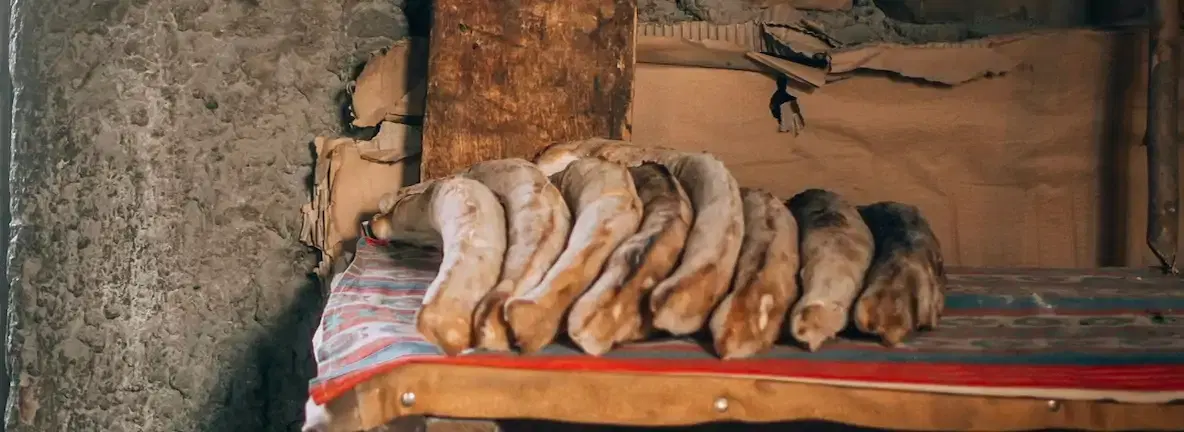 Georgian Bread Masterclass: A Taste of Georgian Tradition