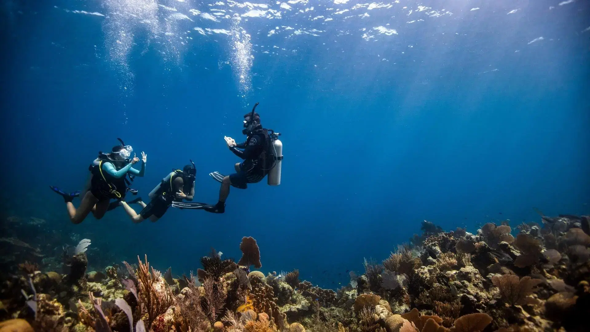Diving