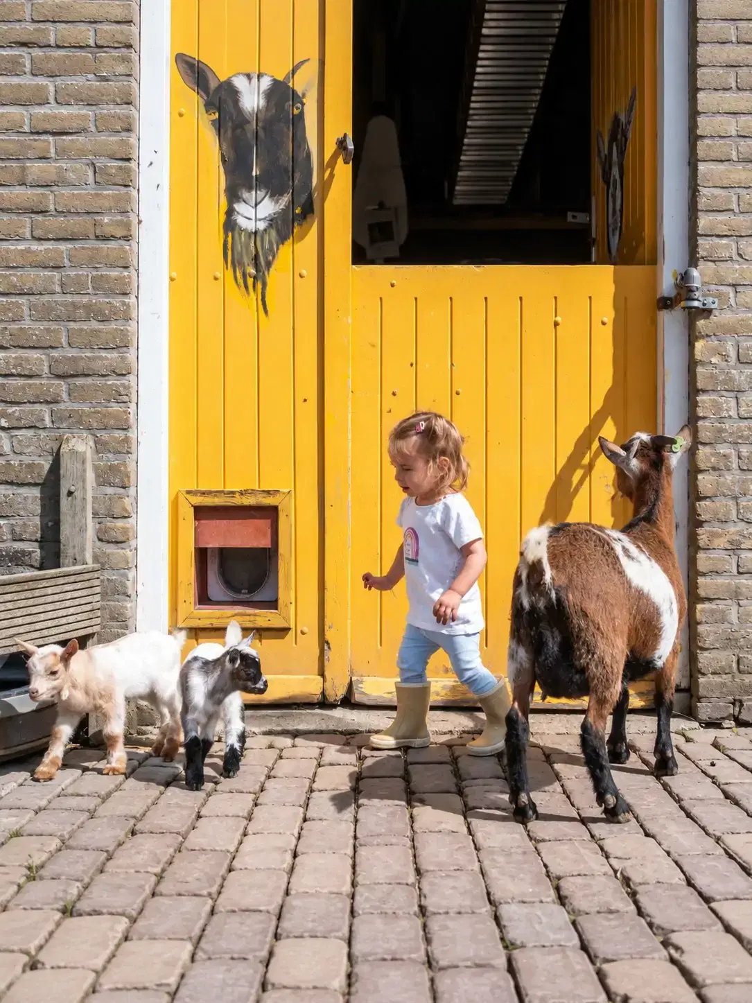 Kinderboerderij Stadspark
